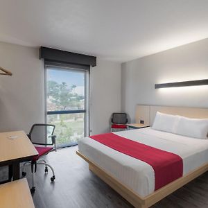 Chambre Lit Queen-Size